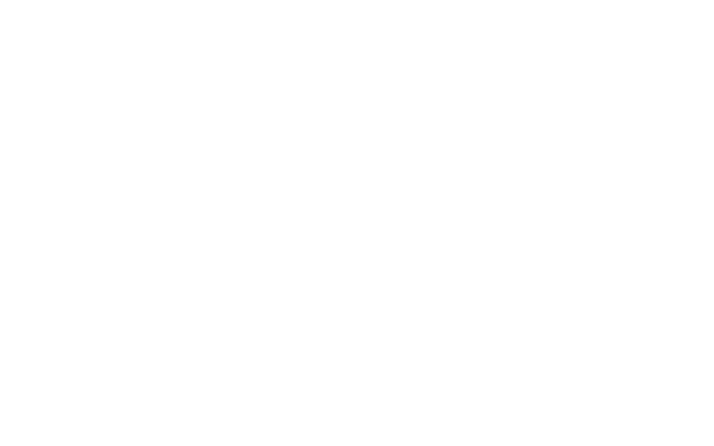 Southwell Insurance Agency - Logo 800 White